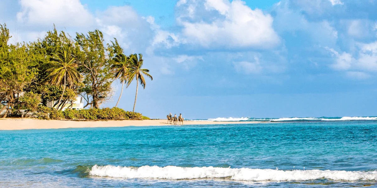 Barbados 2-min.webp